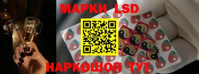 стафф Донской