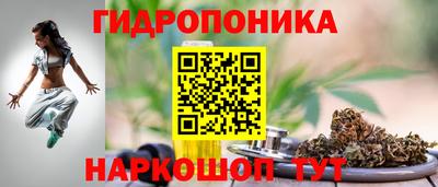 бошки Дубна