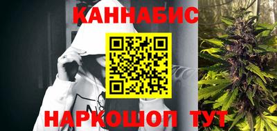 стафф Донской