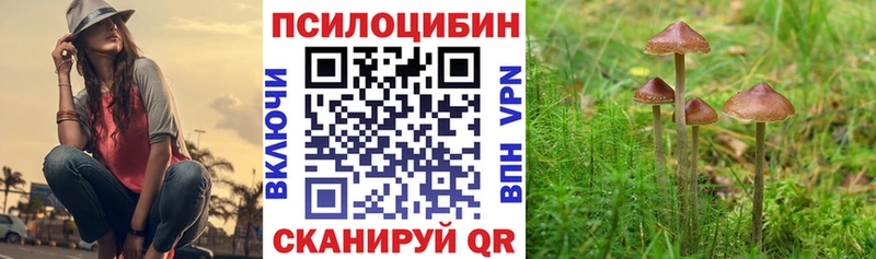 Галлюциногенные грибы прущие грибы  Новочебоксарск 